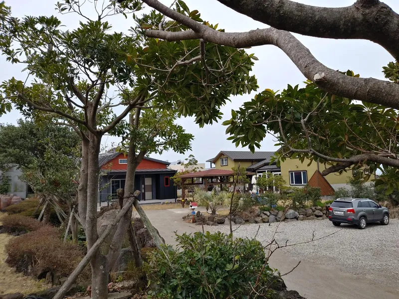 [Haean-dong, Jeju] Kids Pension, Family Pension, Blue Grassland Horse Ranch right in front of Jeju Airport (16 pyeong single-family duplex) 36