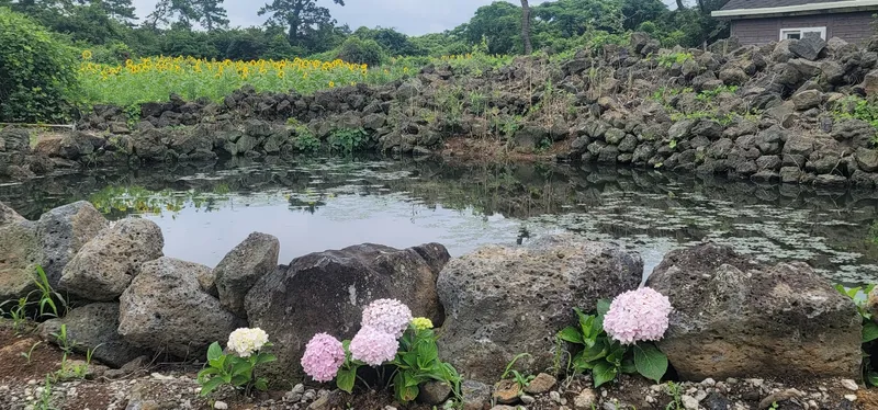 [제주 한경] 쓰리룸 전원주턕 9