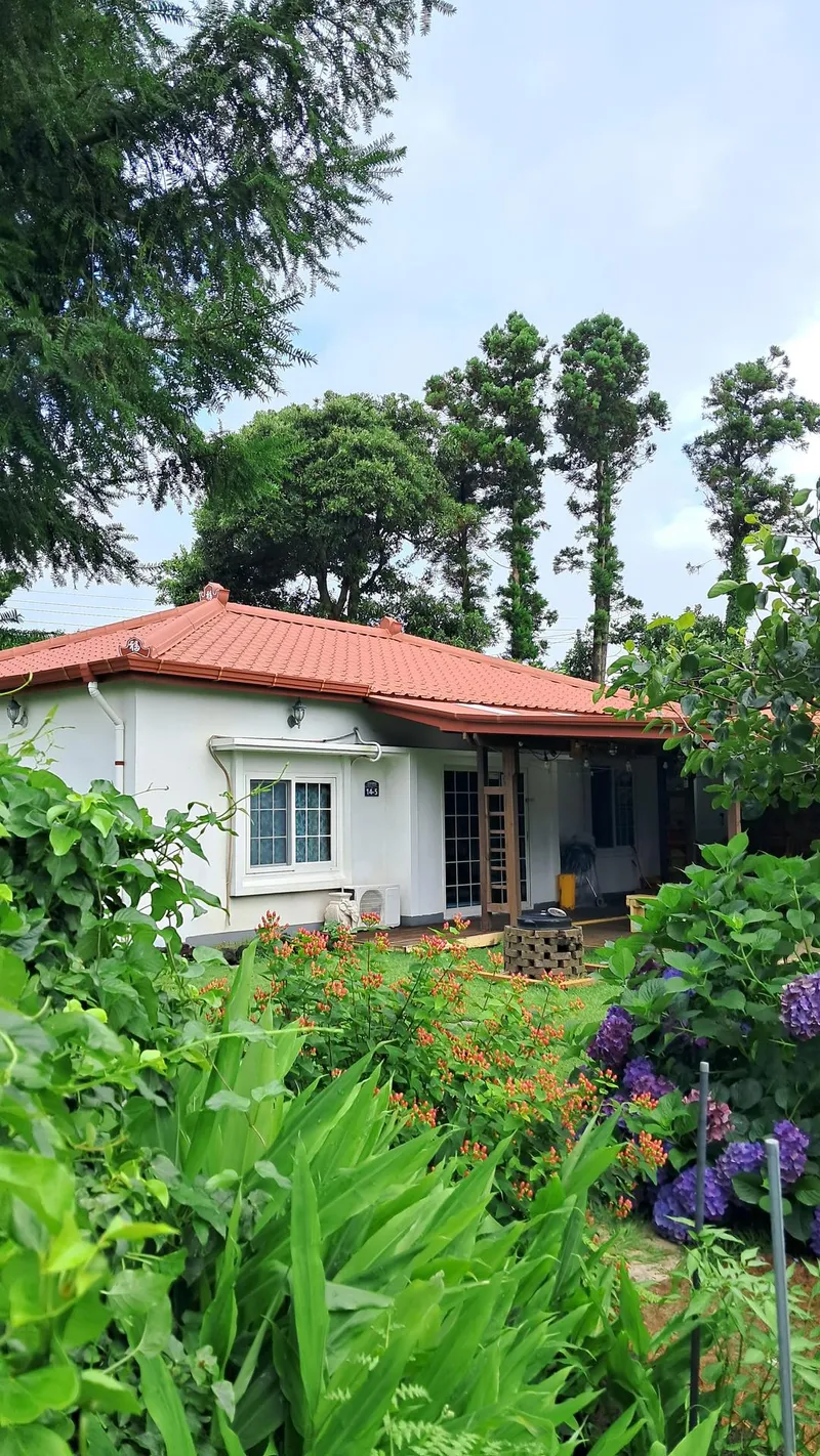 [Seongsan, Seogwipo] A cozy village with stone walls, orchards, and fields, Forumokchae (main house) 10