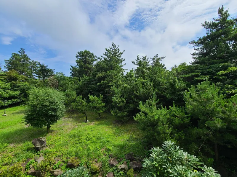 [Pyoseon, Seogwipo] Pyoseon-myeon Two-room apartment where you can hear birds singing in the forest in the morning 11