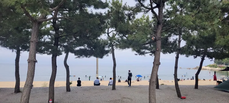 [강원 양양] #죽도.인구해변#써핑#호텔형 신축#코앞바다5층 51