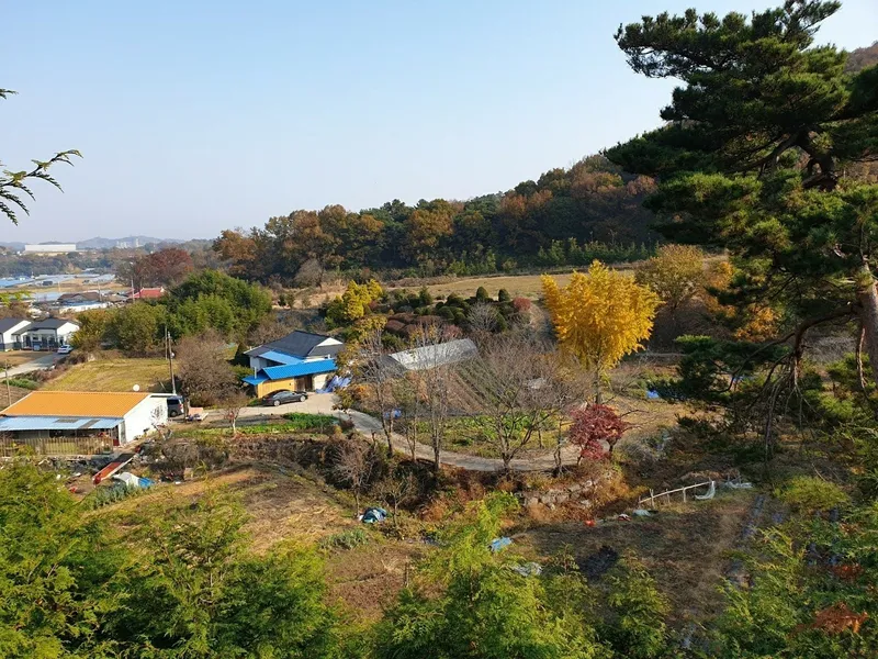 [충남 논산] 시골살이/돌담/한옥/독채/반려동물 39