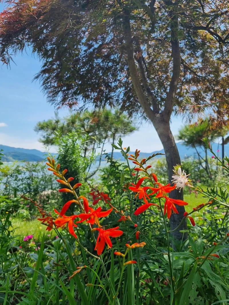 [Namhae] Ocean view, 2nd floor (pet-friendly) detached house with a garden and sea view 168