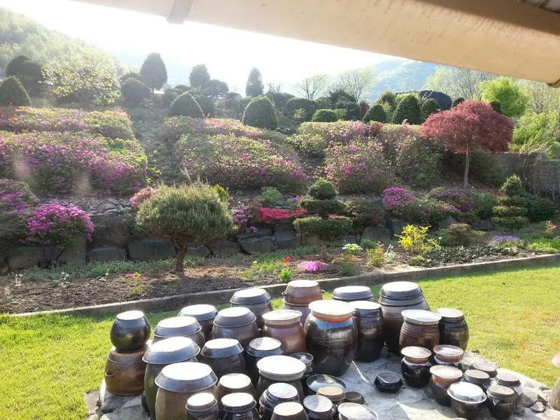 [충남 논산] 시골살이/돌담/한옥/독채/반려동물 51