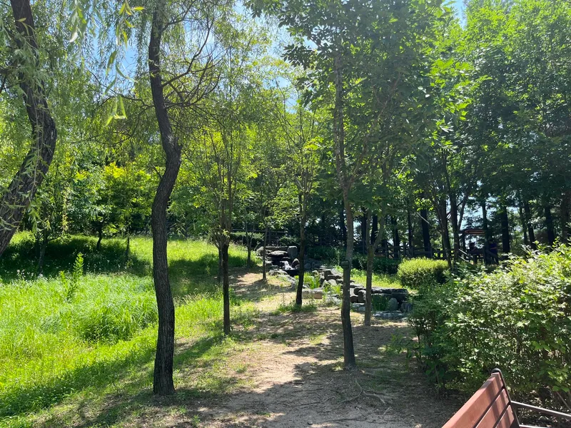 [Dobong, Seoul] Changdongcho Station area/Full options/Large 19-pyeong apartment/Forest area/Netflix/5 people 16