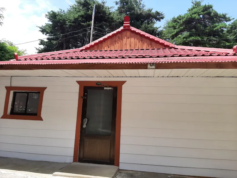 [Gangneung] A quiet pine forest road near the city Accommodation 102 #Rural experience #Forest 6