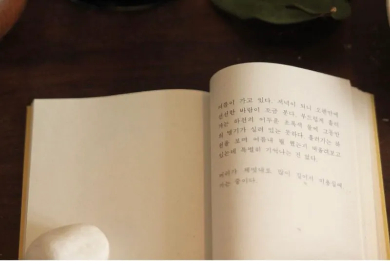 [Hahyo-dong, Seogwipo] Today's romantic Jeju seaside village small house 25