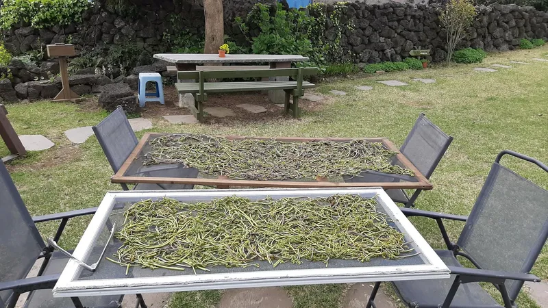 [Seongsan, Seogwipo] A cozy village with stone walls, orchards, and fields, Forumokchae (main house) 30