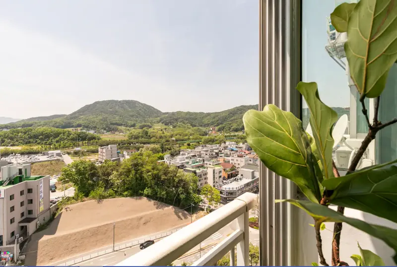[Wonju] Picnic Full-Option Apartment in the City 17