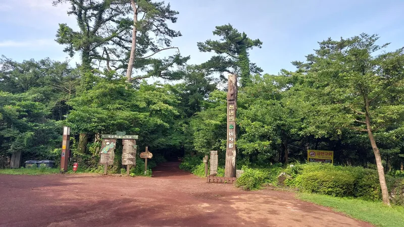 [제주 구좌] 비자림 옆 잔디마당과 수영장.테라스 룸 있는 복층-독채 56