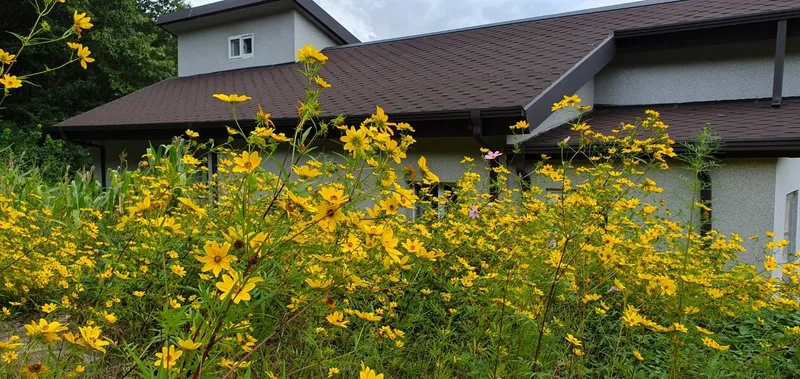[Ulju, Ulsan] A quiet accommodation good for living in the countryside 10
