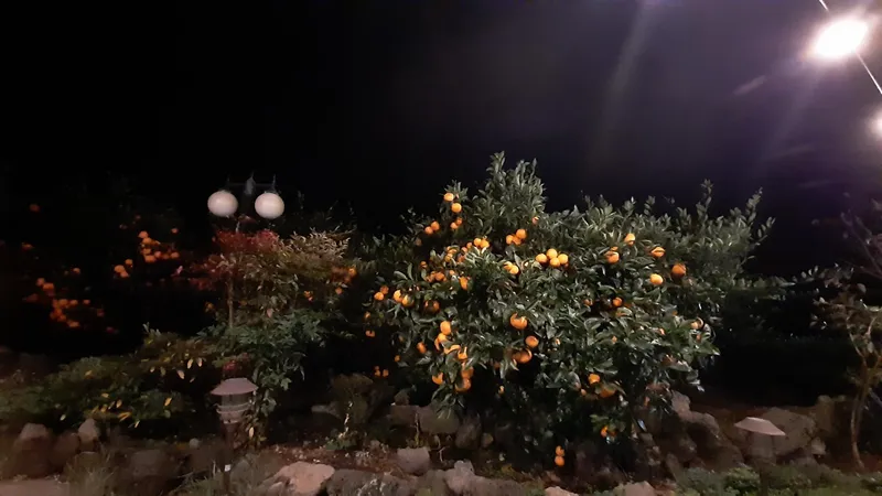 [Seongsan, Seogwipo] A cozy village with stone walls, orchards, and fields, Forumokchae (main house) 32