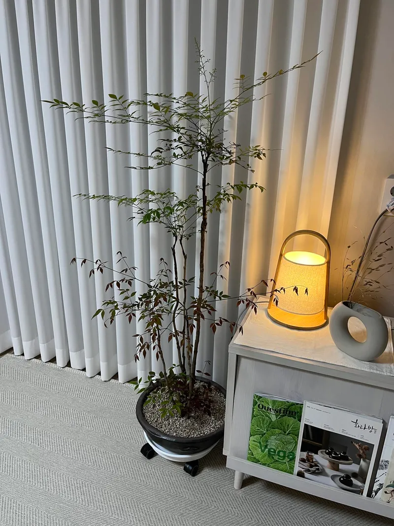 [Wonju] Picnic Full-Option Apartment in the City 4