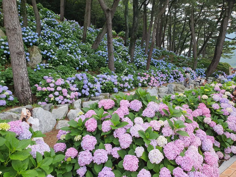 [Geoje] Super cost-effective two-room detached house #small dogs allowed 1 minute walk from Myeongsa Beach, fishing 30