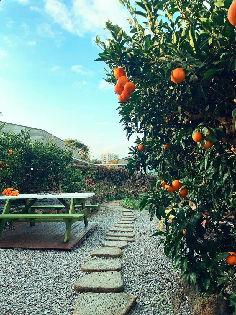 [Hahyo-dong, Seogwipo] Today's romantic Jeju seaside village small house 66