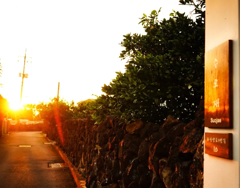 [Hahyo-dong, Seogwipo] Today's romantic Jeju seaside village small house 18