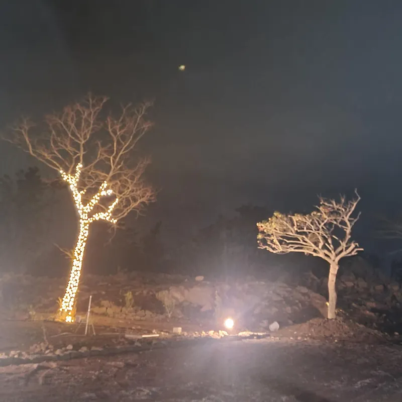 [제주 한경] 쓰리룸 전원주턕 19