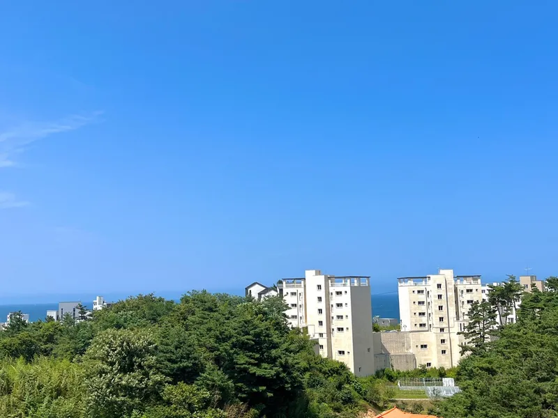 [Gangneung] Ocean view in a cozy space / Clean / 5 minutes walk from Sacheonjin Beach / Comfy Gangneung 2 28