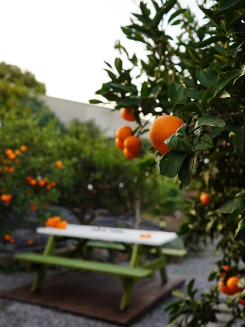 [Hahyo-dong, Seogwipo] Today's romantic Jeju seaside village small house 65