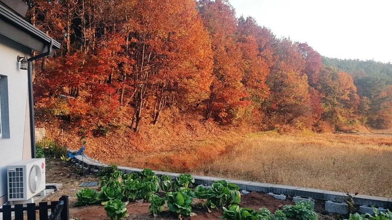 [Ulju, Ulsan] A quiet accommodation good for living in the countryside 17