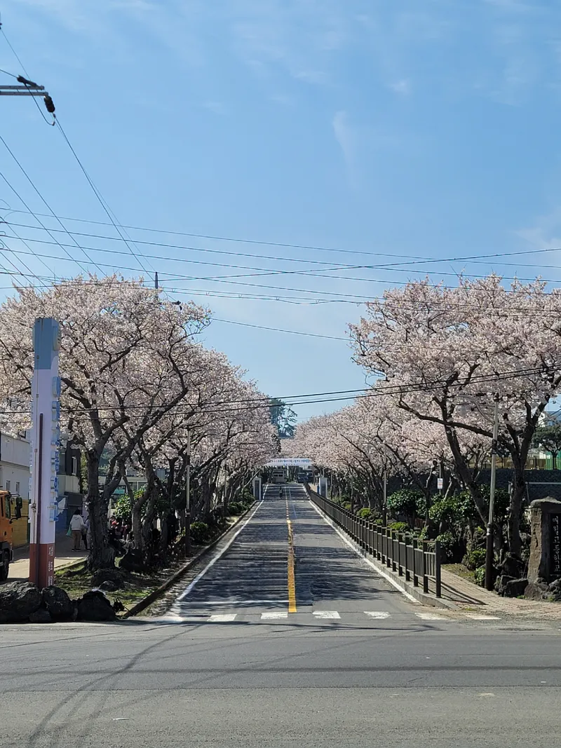 [Aewol, Jeju] Accommodation with many amenities near Aewol Port and Gonae Port 45