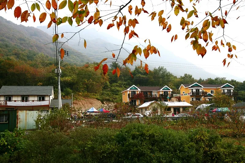 [Jangseong][Jeollanam-do Jangseong] Pension using hot spring water from Naejangsan National Park #B Building 15 Pyeong 12