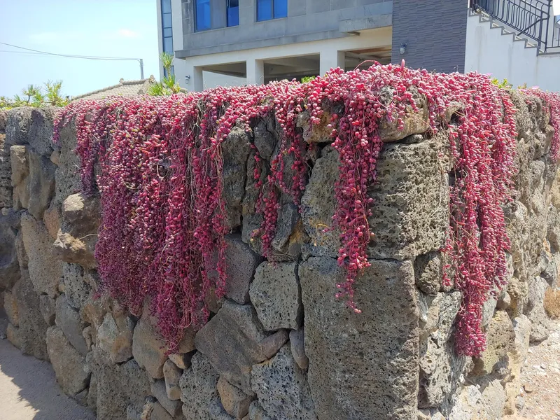 [Aewol, Jeju] Accommodation with many amenities near Aewol Port and Gonae Port 31