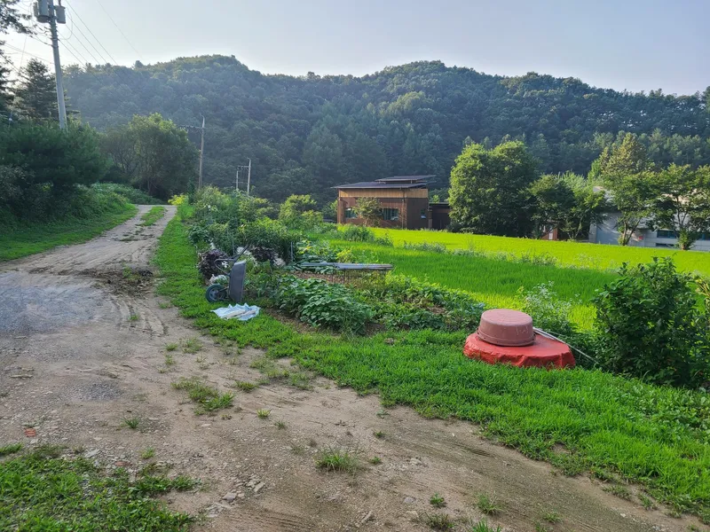 [Gapyeong] A place with good air 11