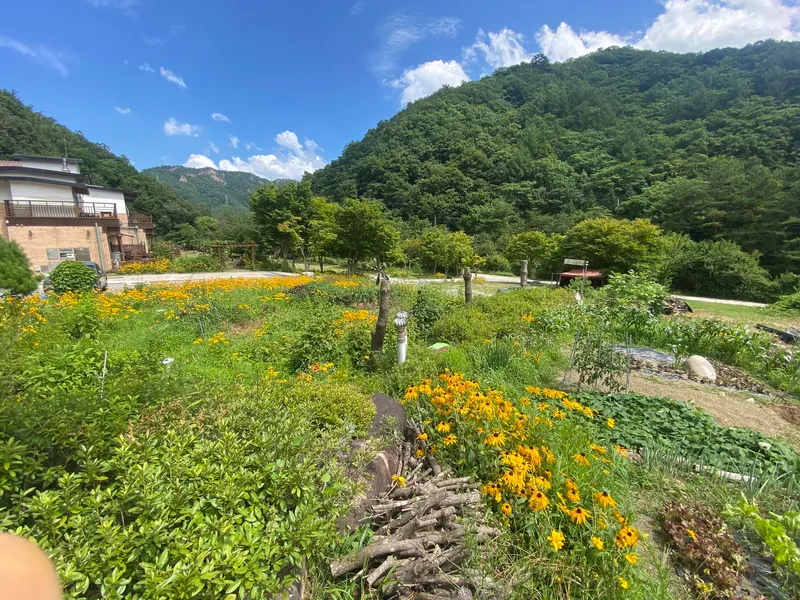 [Inje] High-quality healing town one-room house B in harmony with nature #Pets allowed 29