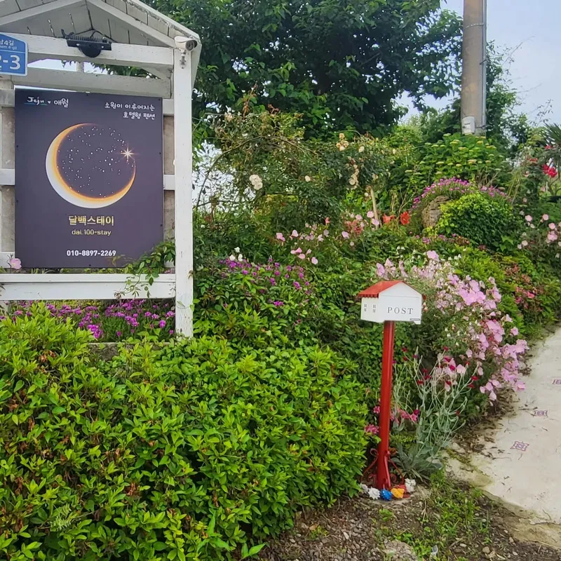 [Aewol, Jeju] Healing accommodation with sunrise and jacuzzi #Newly built accommodation Dalset 45