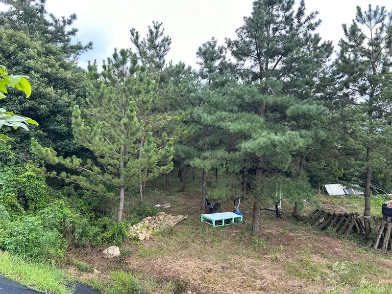 [Yeonggwang][Yeongwang, Jeollanam-do] Accommodation building 1 where you can rest comfortably in the quietness of Beopseong-myeon 24