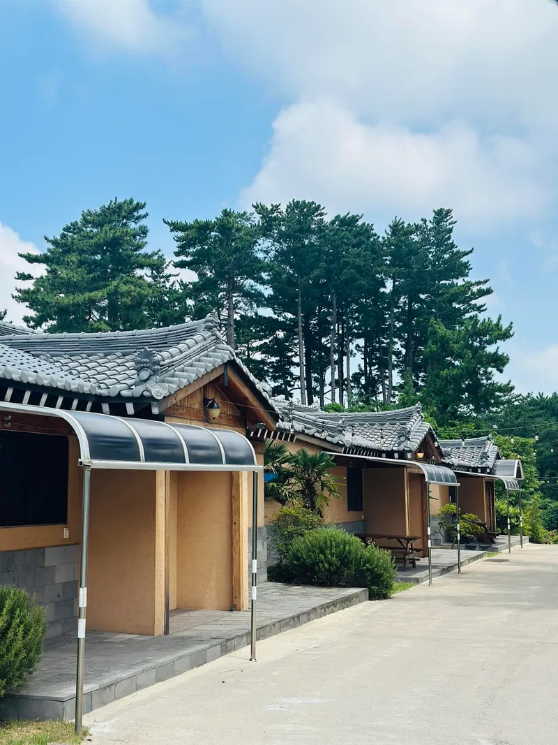 [제주 애월] 한옥독채 편백과 함께하는 #애견동반가능 42