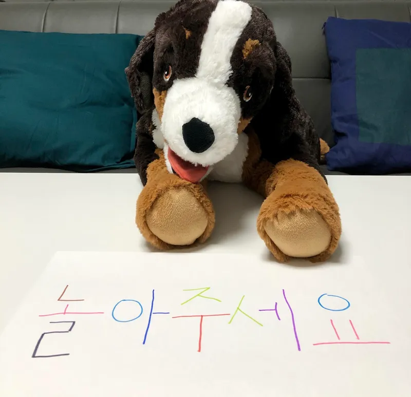 [강원 강릉] 주문진 도깨비촬영지 영진해변 오션뷰 12