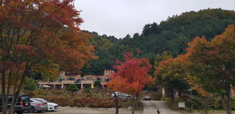 [강원 인제] 자연과 함께하는 고품격 힐링타운 원룸주택 F #애견동반가능 28