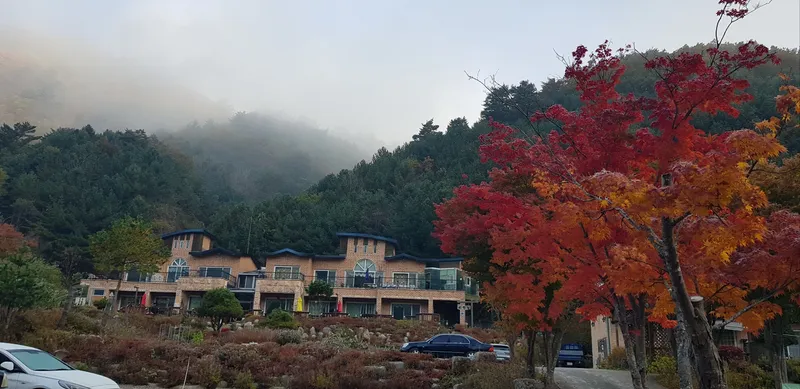 [Inje] High-quality healing town one-room house B in harmony with nature #Pets allowed 25