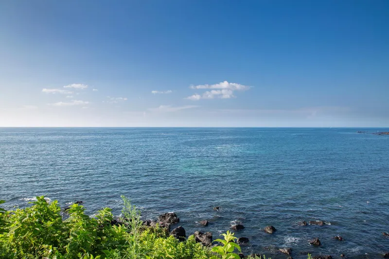 [Aewol, Jeju] Gu-eom-ri Dol-yeom-jeon Aewol Coastal Road, Jeju Dol-dam Old House, Independent Pine Tree House 69