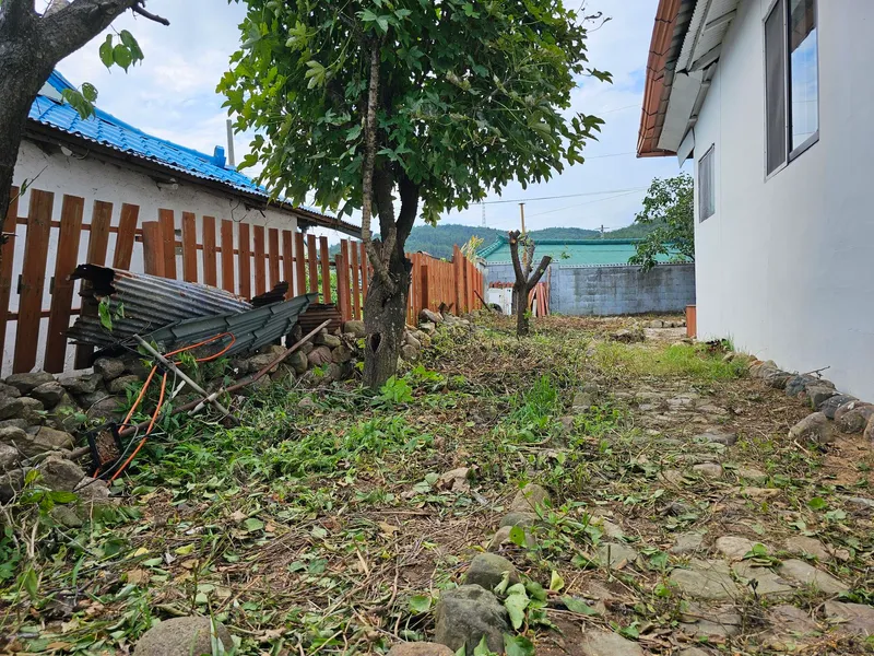 [Pohang] A quiet country house with an old persimmon tree in the yard and a large parking lot 15