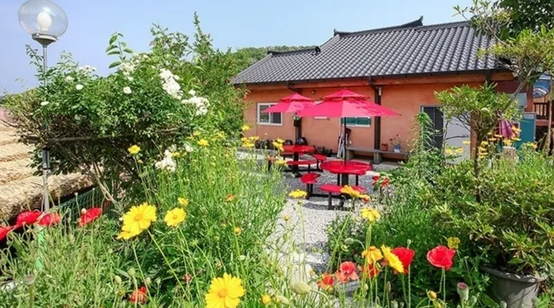 [Jangseong][Jeollanam-do Jangseong] The best phytoncide place in the country, Geumgok Film Village Cypress Pension 102 2