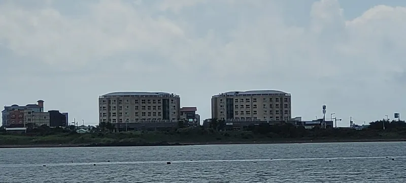 [Seongsan, Seogwipo] Spacious duplex / Panoramic view of Seongsan Ilchulbong and the sea / 54