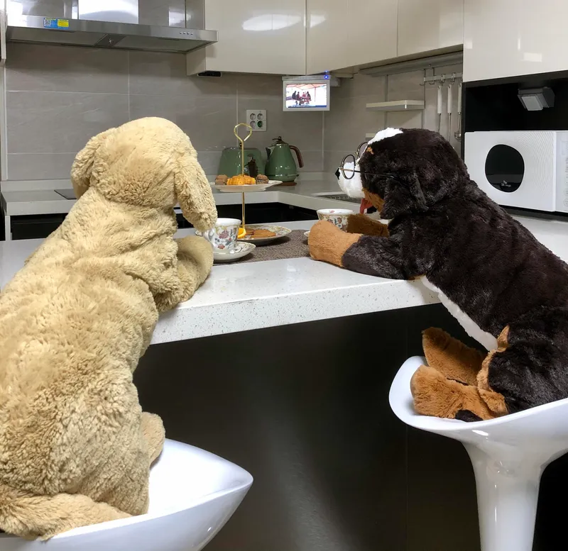 [강원 강릉] 주문진 도깨비촬영지 영진해변 오션뷰 9