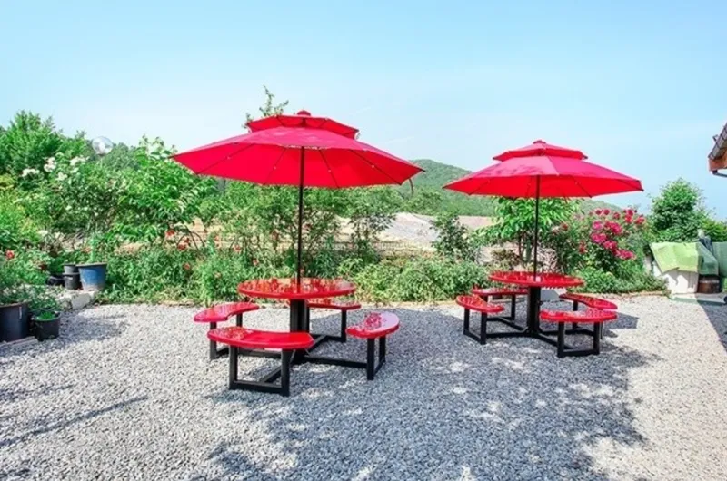 [Jangseong][Jeollanam-do Jangseong] The best phytoncide place in the country, Geumgok Film Village Cypress Pension 102 8