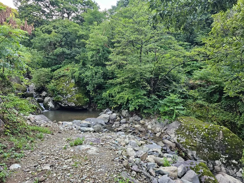 [전북 정읍] 옥정호수가 바로앞 계곡과 수영장이 있는 황토편백펜션 #바람 19