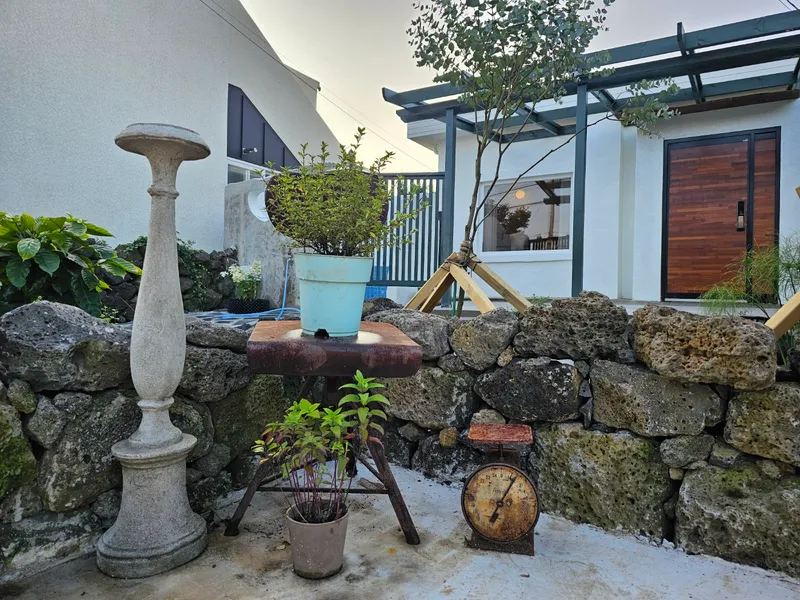 [Namwon, Seogwipo] Family room. Two-room. Private detached house located within the village. Pets allowed. Free guest access. 70