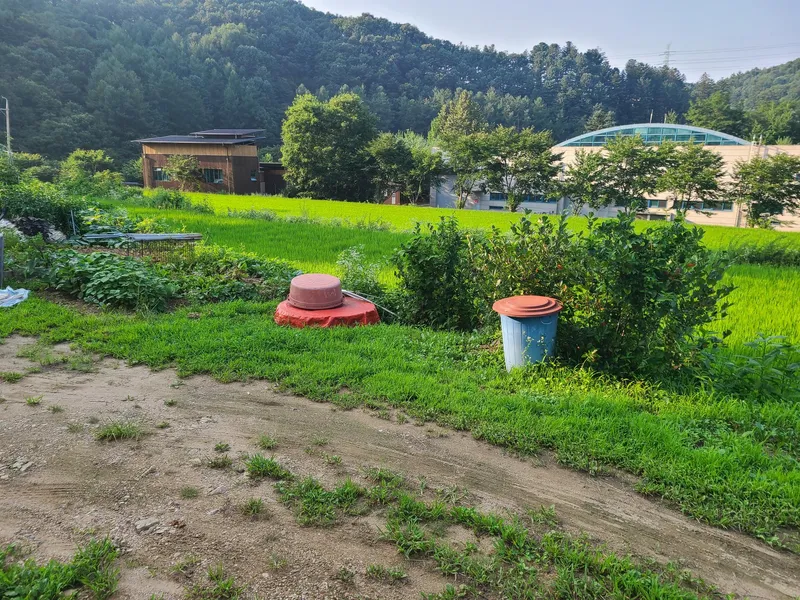 [Gapyeong] A place with good air 12