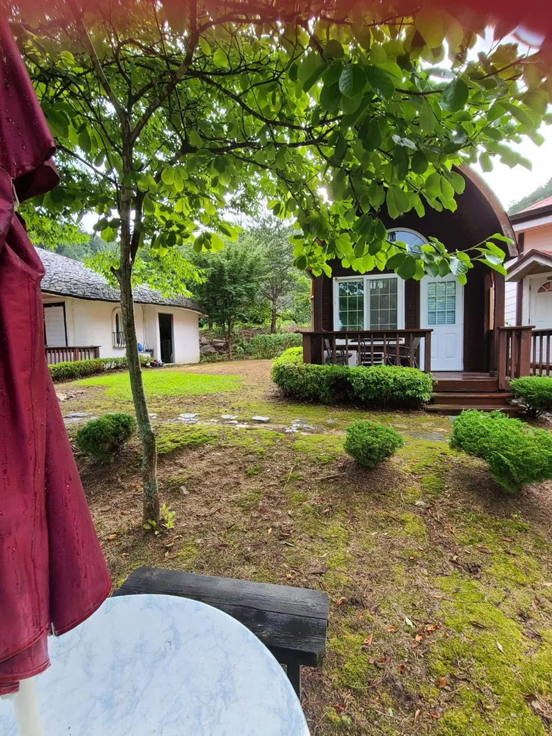 [Pyeongchang] Cabin A "Scent of the Forest" Duplex Private House, Pristine Area. Queen Bed Room, Downstairs Room 5