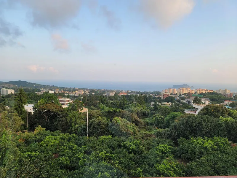 [Hogeun-dong, Seogwipo] Beomseom Ocean View, Rooftop Accommodation with a Great View, 2nd Floor, Room 203 (Two Rooms) 11