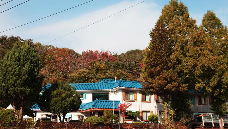 [Muju] Affordable Ondol Pension in Deogyusan National Park #Rose2 #Utility Included 11