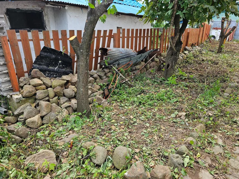 [Pohang] A quiet country house with an old persimmon tree in the yard and a large parking lot 12