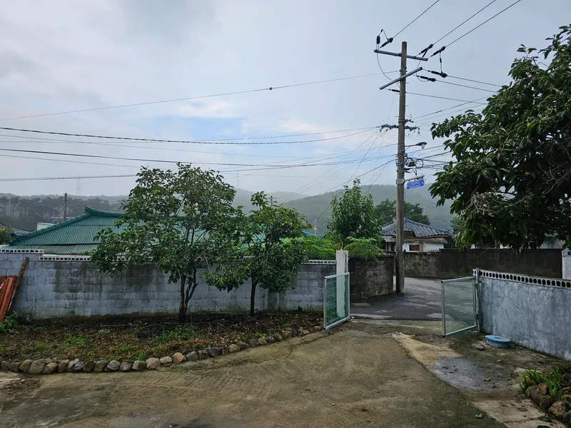 [Pohang] A quiet country house with an old persimmon tree in the yard and a large parking lot 21