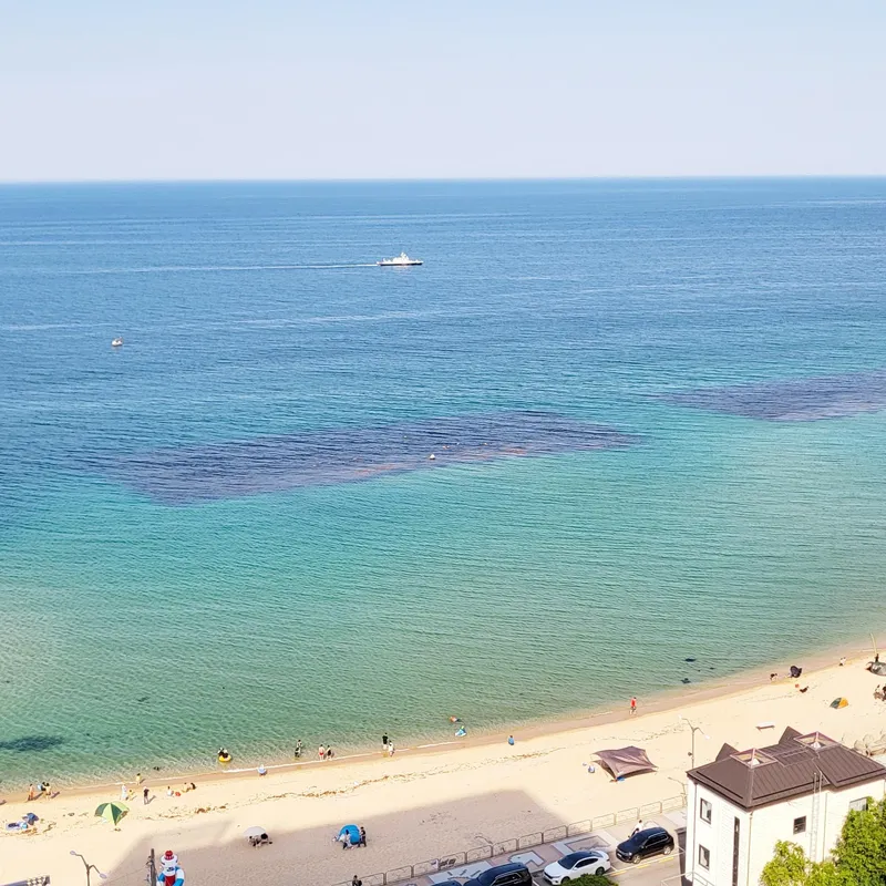 [Sokcho] 1-minute walk to the sea! Ocean view! [SokchoBadaya] 40